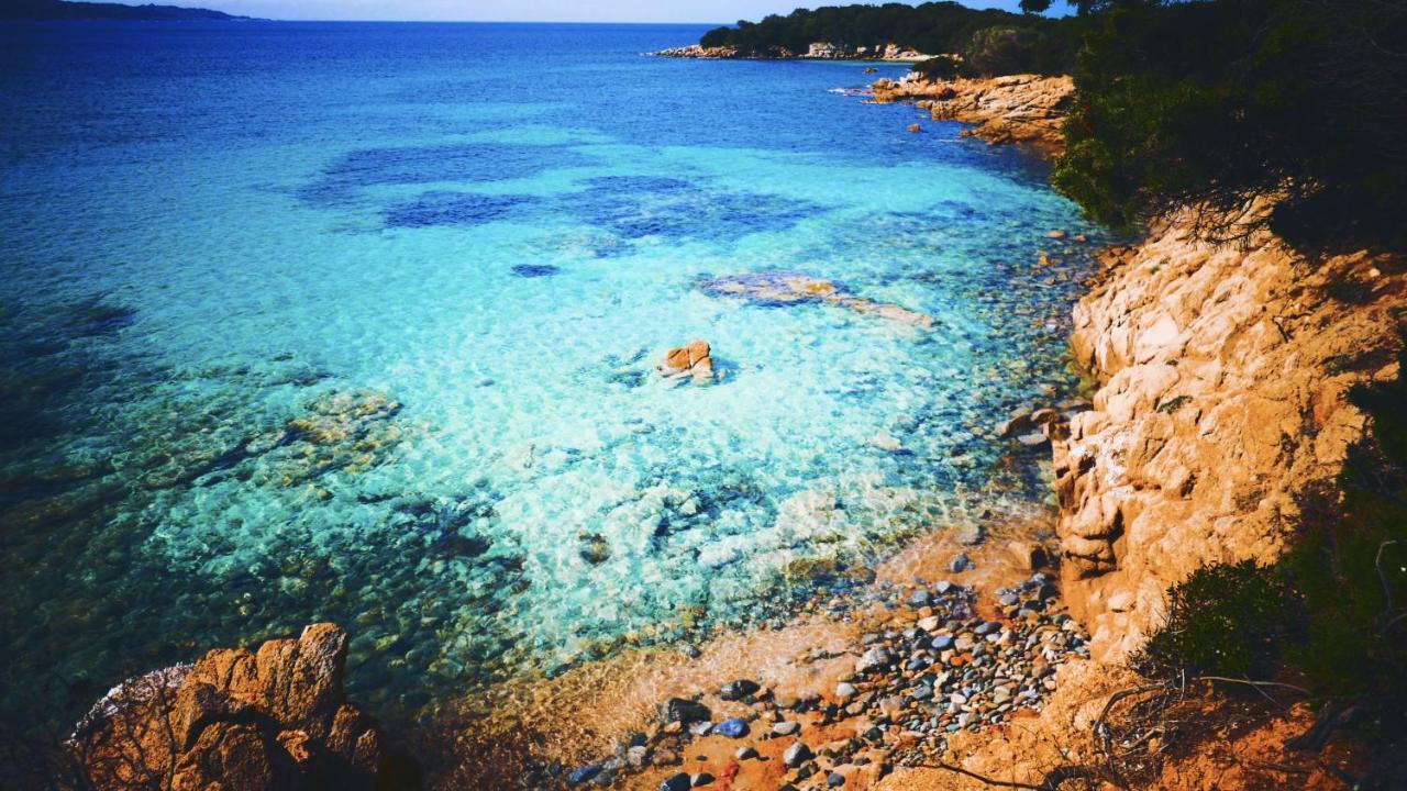 A Gioia Di Campa Figari (Corsica) Exterior foto