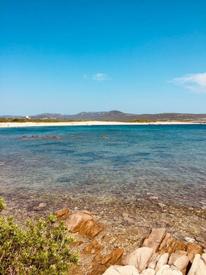 A Gioia Di Campa Figari (Corsica) Exterior foto