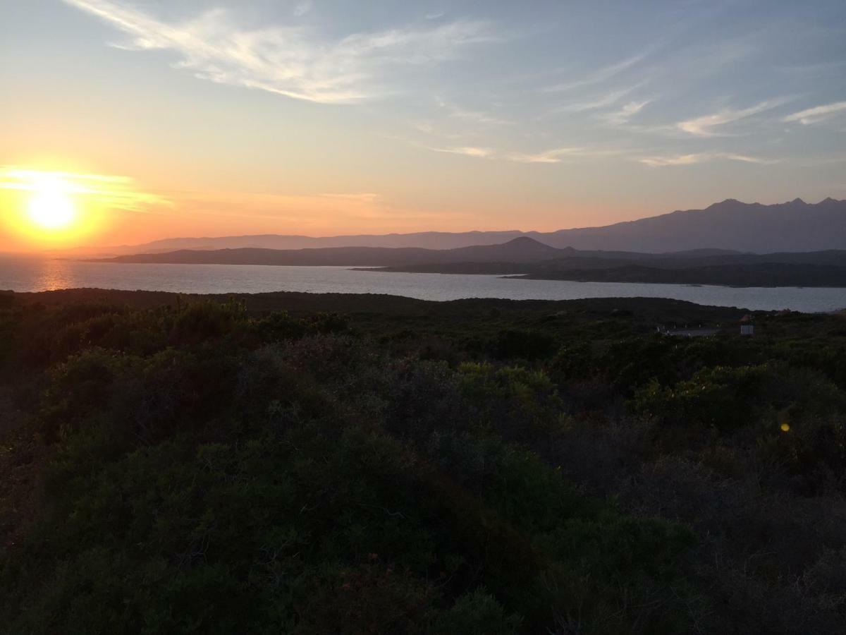 A Gioia Di Campa Figari (Corsica) Exterior foto